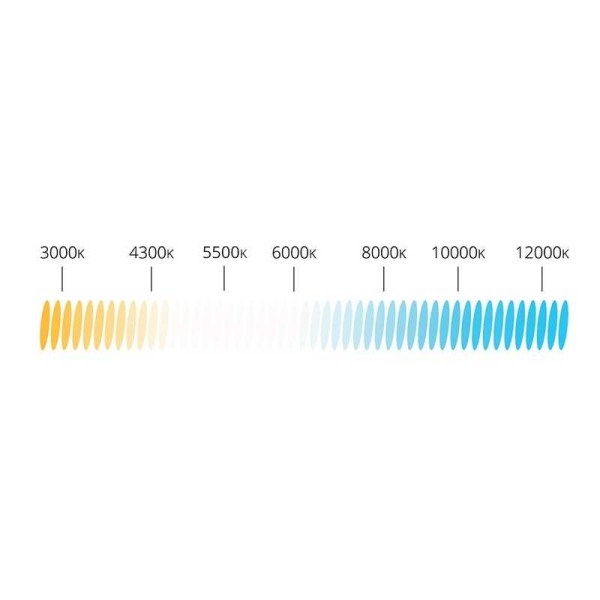 5903293019719.jpg2
