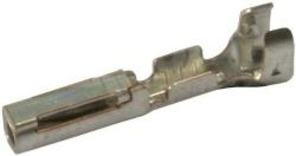 Image.jpg2